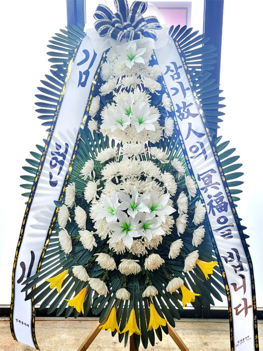 ST-FB233