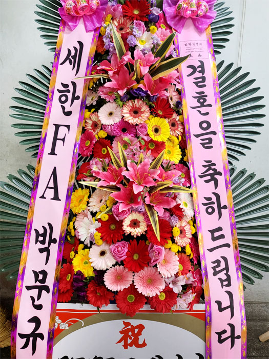ST-FA248