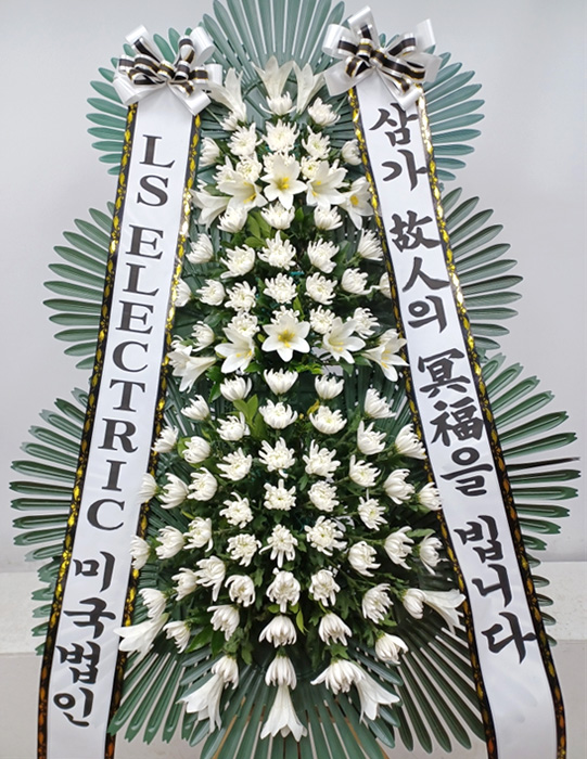 ST-FB226