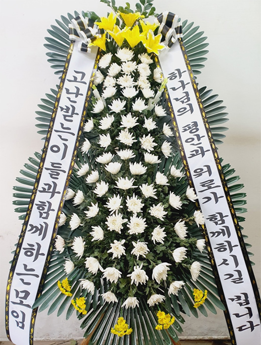 ST-FB233