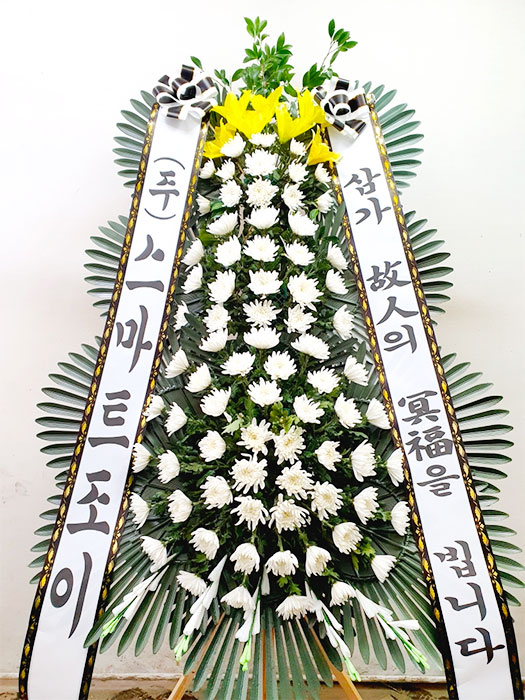 ST-FB233