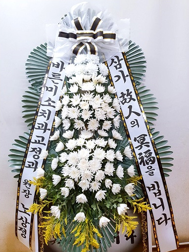 ST-FB233