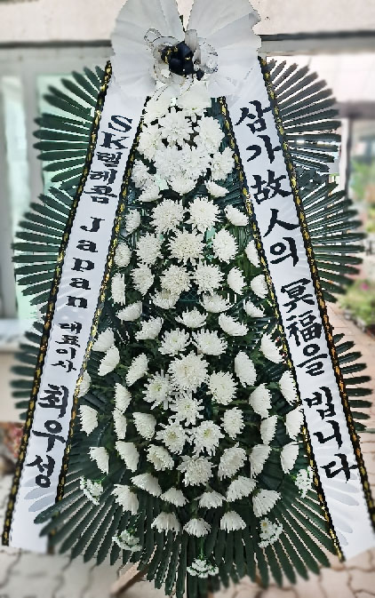 ST-FB226