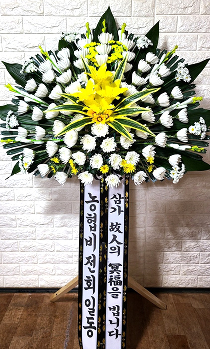 ST-FB0001