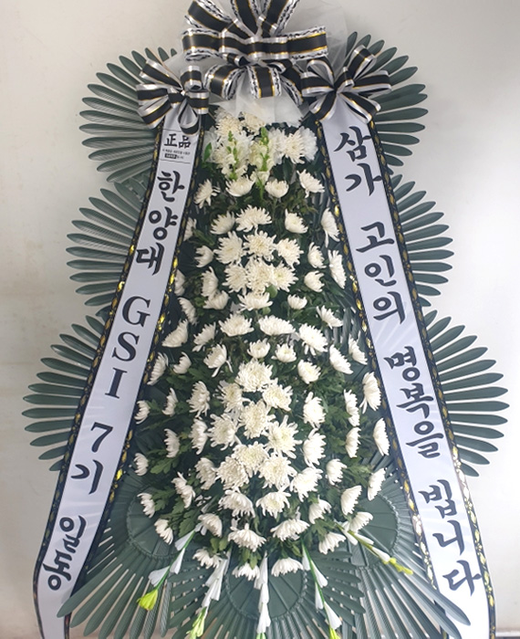 ST-FB233