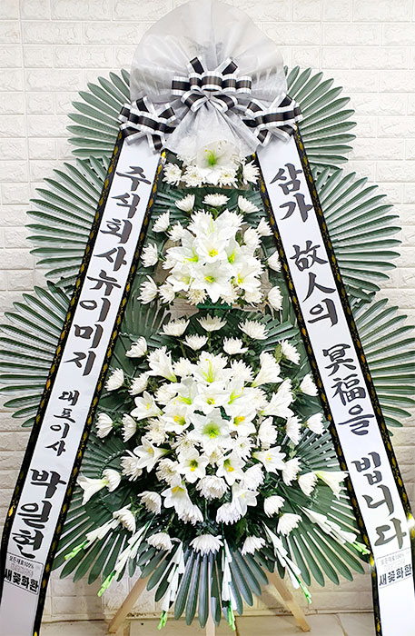ST-FB226