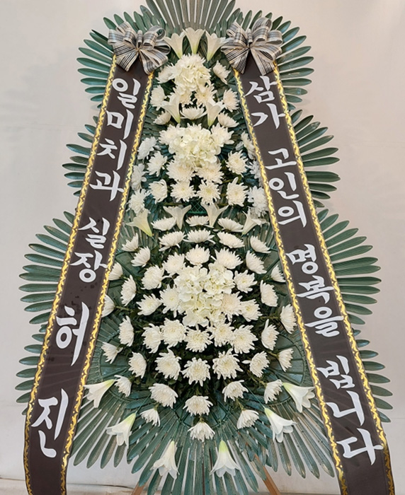 ST-FB252