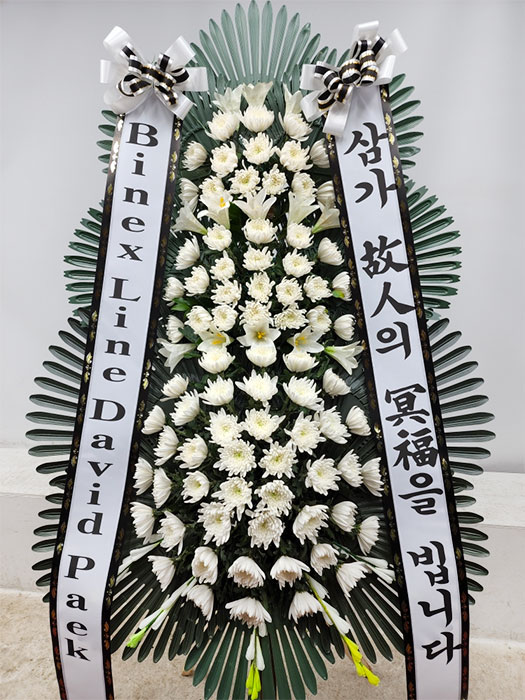 ST-FB233