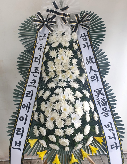 ST-FB226