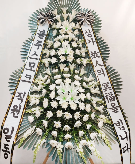 ST-FB228