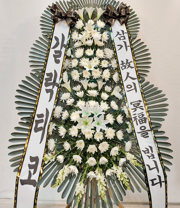 ST-FB226
