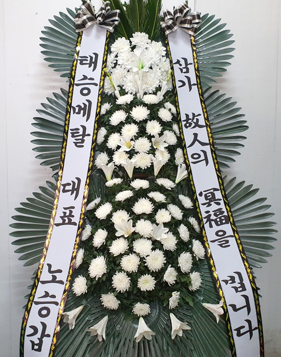 ST-FB233