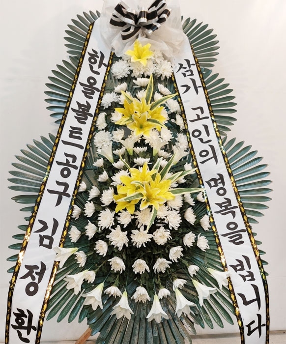 ST-FB154