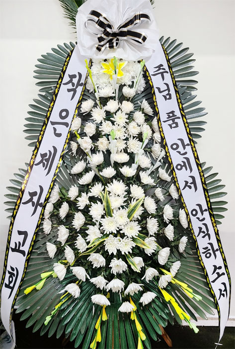 ST-FB233