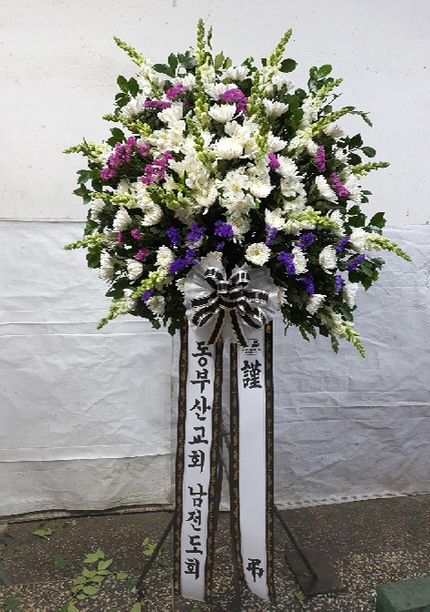 ST-FB233