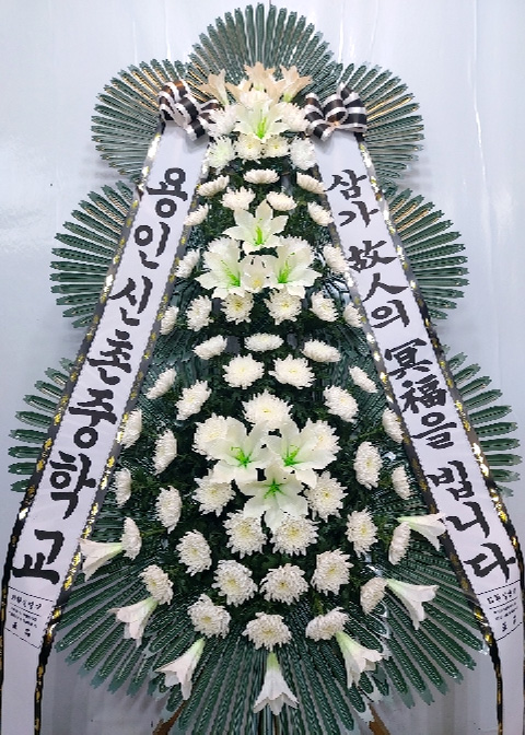 ST-FB226
