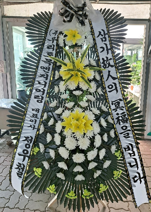ST-FB233