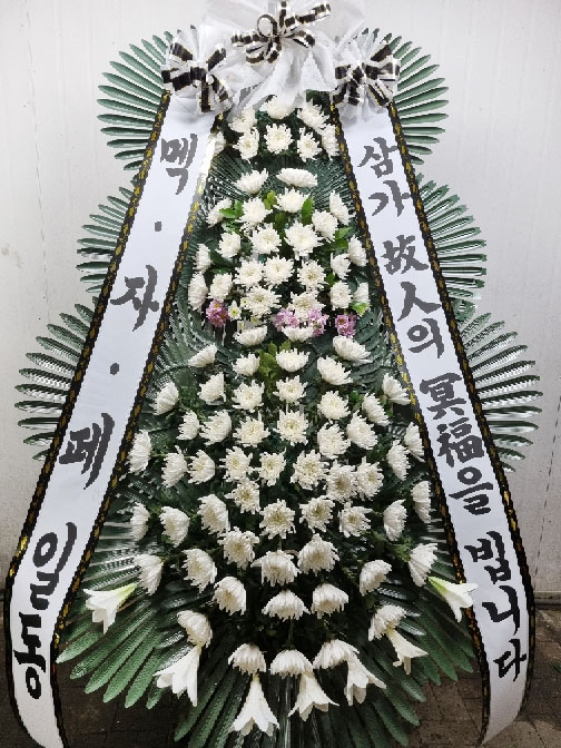 ST-FB226