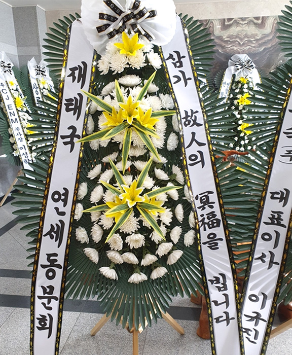 ST-FB233