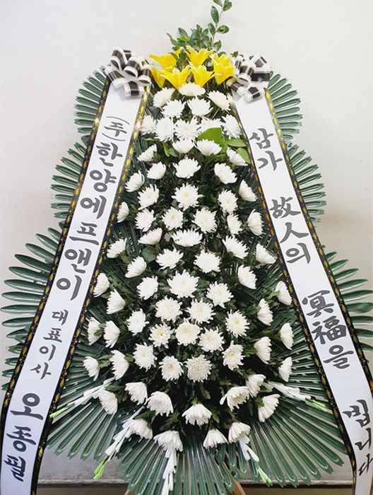 ST-FB024