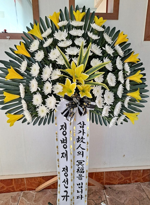 ST-FB263