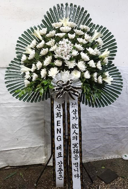 ST-FB226