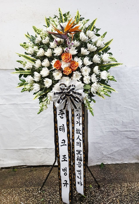 ST-FB222