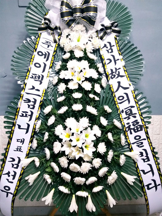 ST-FB250