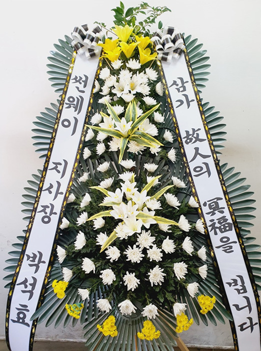 ST-FB226