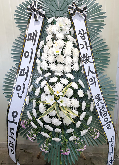 ST-FB226