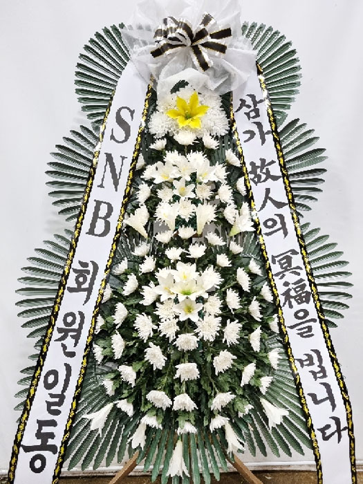 ST-FB226