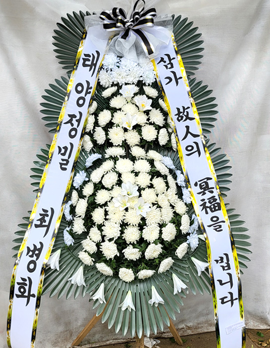 ST-FB226