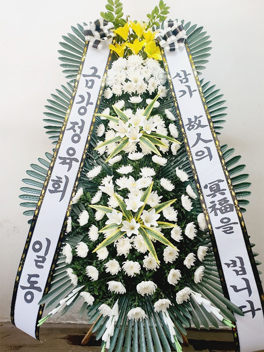 ST-FB226