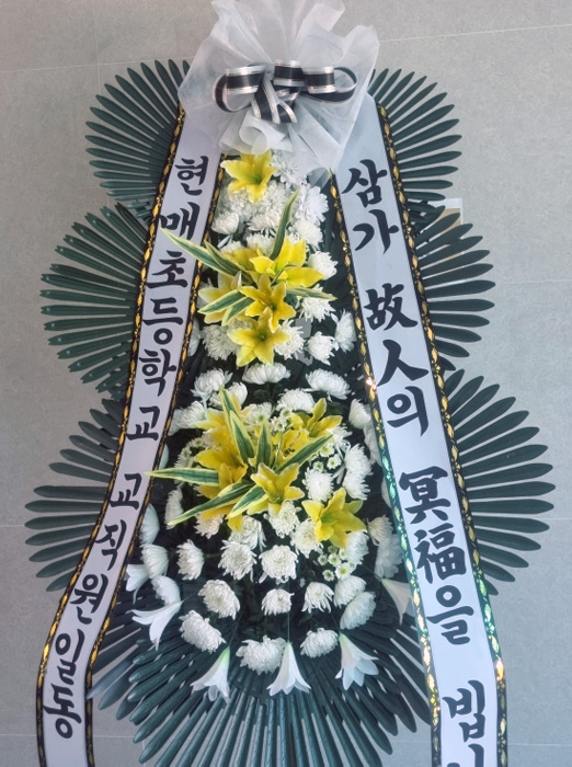 ST-FB233