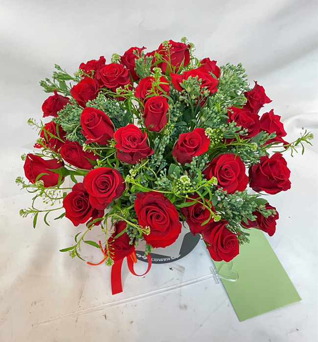 ST-B426
