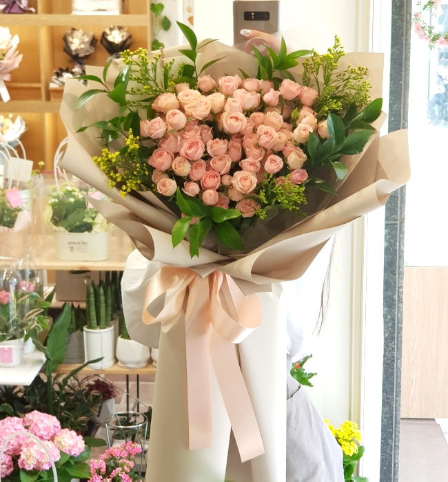 ST-C586