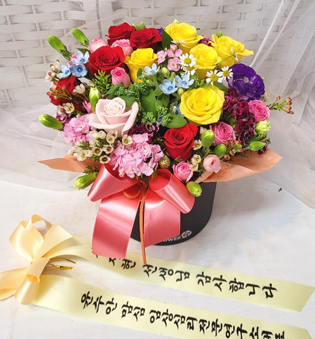 ST-B485