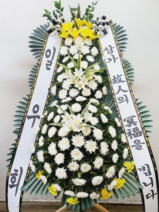 ST-FB226