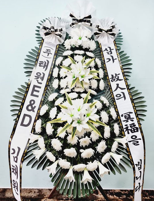 ST-FB226
