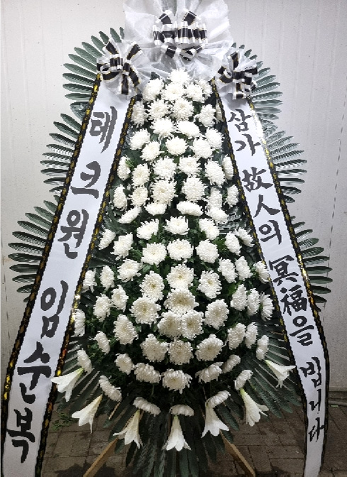 ST-FB162