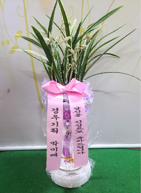 ST-E540