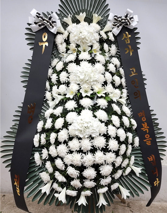 ST-FB259