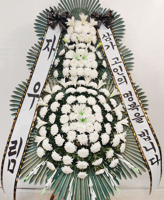 ST-FB226