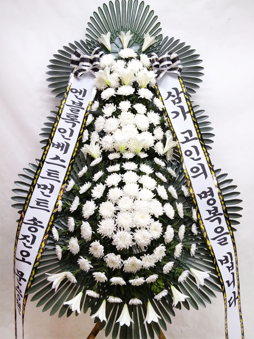 ST-FB233