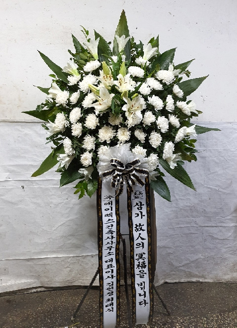 ST-FB220