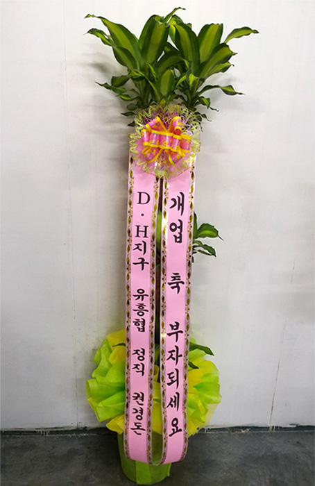 ST-D188