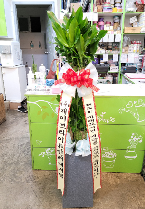 ST-D578