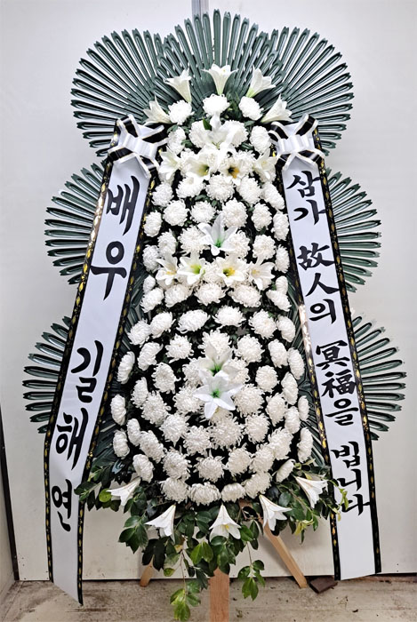ST-FB233