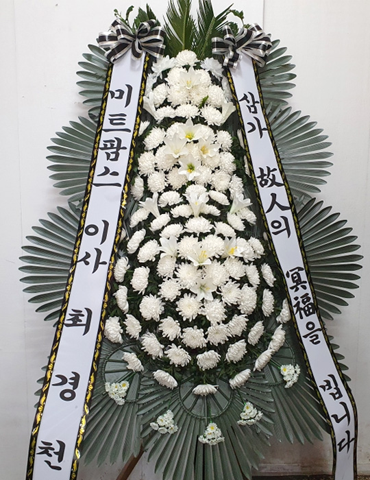 ST-FB226