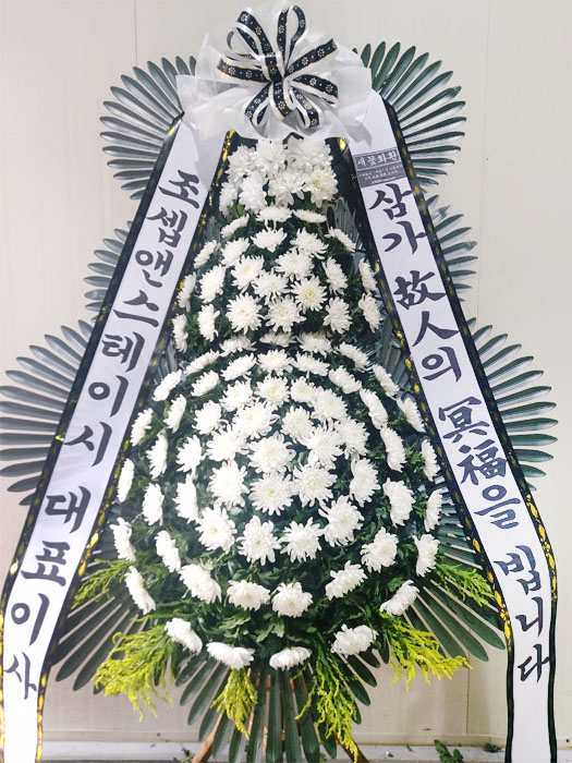 ST-FB233